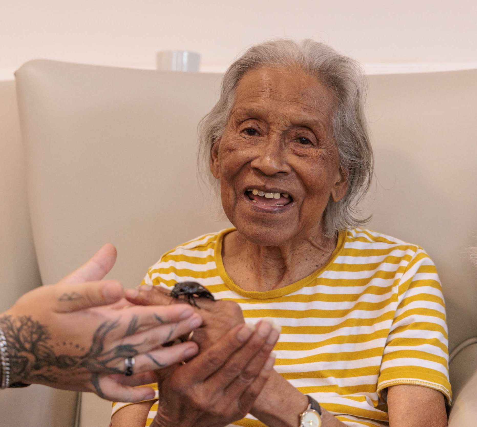 activities 2 e1773843144898